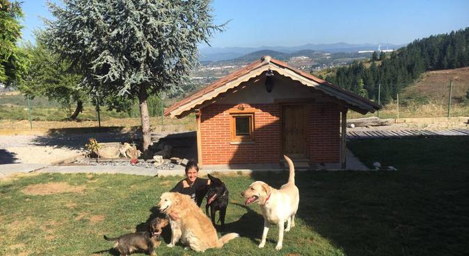 Amante de los perros con casa con amplio jardín, canguro en Ponferrada