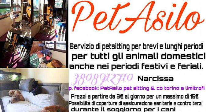 PetSitter CINOFILO con ESPERIENZA PLURIENNALE, dog sitter a Torino