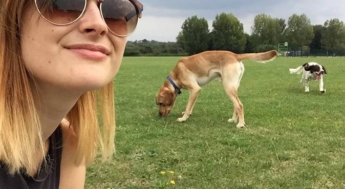 Dog walker who is dog mad!, dog sitter in Broxbourne