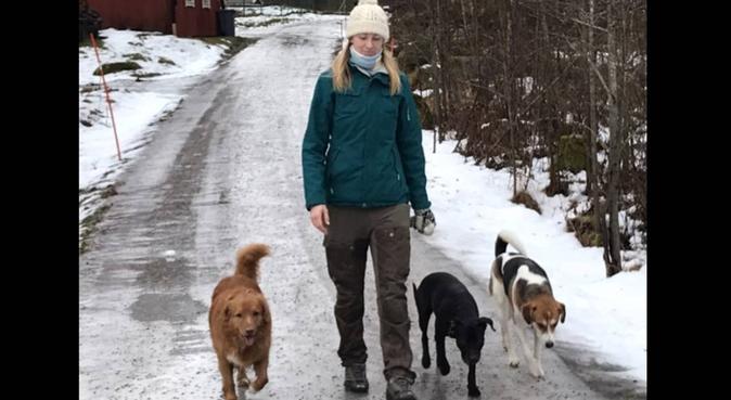 Hundkompis finns i Uppsala och Sthlm!, hundvakt nära Björklinge