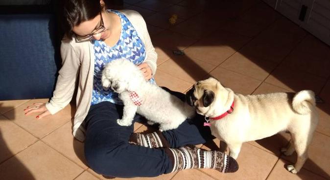 Dog lover to the infinity and back!, dog sitter a Milan