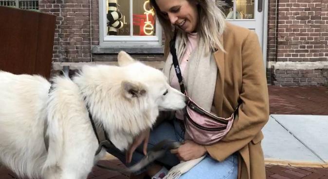 Dog lover in Amsterdam Noord, hondenoppas in Amsterdam