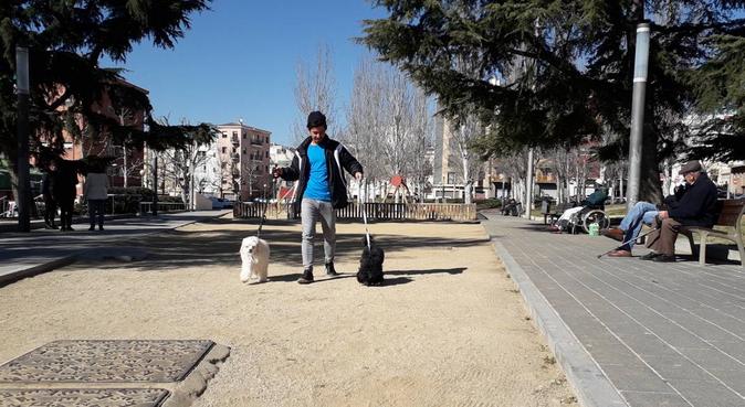 Paseo de peludos, Por amor a los más consentidos, canguro en Mataró, España