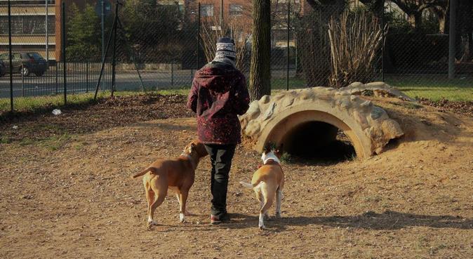 Laureata in Comportamento Animale, dog sitter a Torino