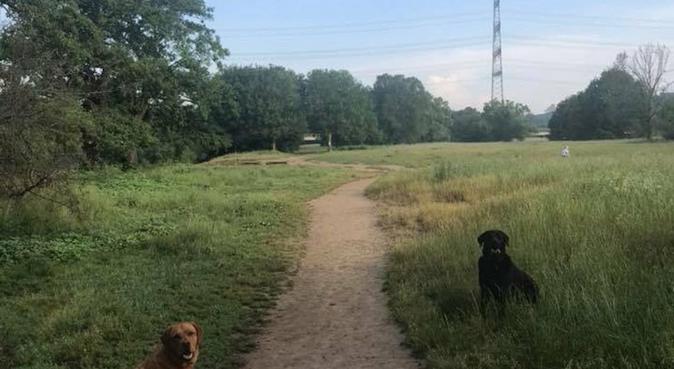 Liebevolle Hundebetreuung in Eving direkt am Wald, Hundesitter in Dortmund
