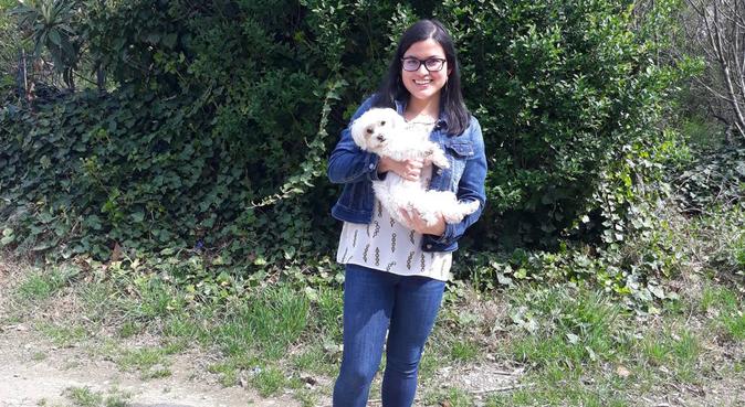 Tante passeggiate per i vostri piccoli amici, dog sitter a Brugherio, MB, Italia