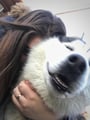 Jocelyn's dog help in Dunning dog boarding & pet sitting