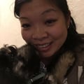 Work from Home Dog Sitter in Queens dog boarding & pet sitting