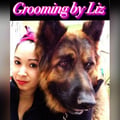 Pet Care and Grooming by Liz dog boarding & pet sitting