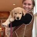 Becky's Dog Care! dog boarding & pet sitting