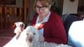 Renee Loves Dogs- South Edmonton dog boarding & pet sitting