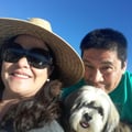 Redondo Beach Weekend Retreat dog boarding & pet sitting