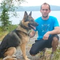 Kitchener Dog Runner dog boarding & pet sitting