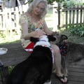 Grace's Reliable Canine Care dog boarding & pet sitting