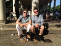 Sadie’s Sleepovers in Clinton Hill dog boarding & pet sitting