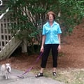 Active Empty Nester in Loving Home dog boarding & pet sitting