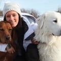 Melissa animal/medical services dog boarding & pet sitting
