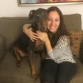 Nicole's Downtown Doggy Vacay dog boarding & pet sitting