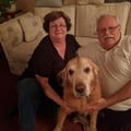 Love on a Leash by Bob and Skip dog boarding & pet sitting