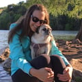 Senior and Special Needs Pug Sitter dog boarding & pet sitting