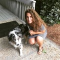 HappyHounds - animal care dog boarding & pet sitting
