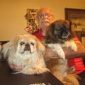 Larry's Doggie Care and Boarding dog boarding & pet sitting