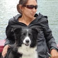 Vicki's Black Forest Pet Care dog boarding & pet sitting