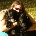 TNT Puppy Services dog boarding & pet sitting