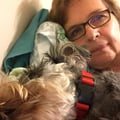 Bethesda Pet Care dog boarding & pet sitting