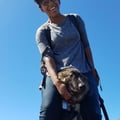 Willing To Go the Extra Mile!!! dog boarding & pet sitting