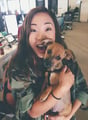 The Happy Dog Inn - Mar Vista, CA dog boarding & pet sitting