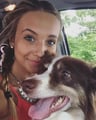 Katie's Dog Hotel dog boarding & pet sitting