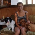 Nicole's Canine Services dog boarding & pet sitting