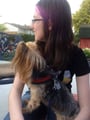 Andie's dog service dog boarding & pet sitting