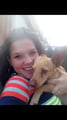 Rachel's Doggy Daycare dog boarding & pet sitting