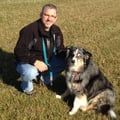 TS Arnott Dog Services dog boarding & pet sitting