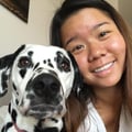PhD student & experienced dogsitter dog boarding & pet sitting