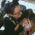 Shelby's Clinton Hill Dog Service dog boarding & pet sitting