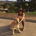 Patricia In the heart of Echo Park dog boarding & pet sitting