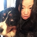 Sarah & Bailey's lovely Home dog boarding & pet sitting