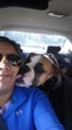Pet Lover Extraordinaire dog boarding & pet sitting