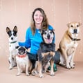 Compassionate&Experienced Pet Care dog boarding & pet sitting