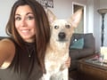 Julie in Fort Lee Loves Dogs dog boarding & pet sitting