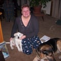 Dawn's Langford Doggy Care dog boarding & pet sitting