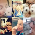 Vet Tech Pet Sit 4 U dog boarding & pet sitting
