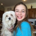 Abby's Doggie Stay Overland Park dog boarding & pet sitting