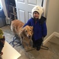 Yael Natick Dog Care dog boarding & pet sitting