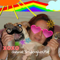 annie's-doghouse dog boarding & pet sitting