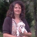 Debbie's Paw Pals of Wilmington NC dog boarding & pet sitting