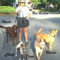 A Real Full Time Mom for your Pet! dog boarding & pet sitting